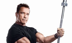 Image result for iPhone 11 Pro Arnold Swarzinigher