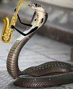 Image result for Snake with Arms Meme