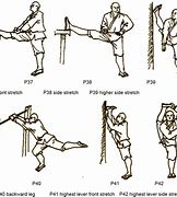 Image result for Shaolin Kung Fu Fighting Styles