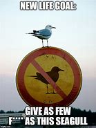 Image result for Philosophical Seagull Meme