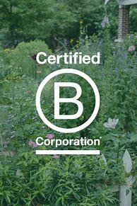 Image result for B Corp Logo Dark Green