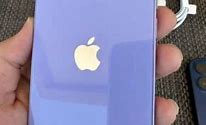 Image result for iPhone 11 Warna Ungu