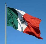 Image result for Mexico and American Flag
