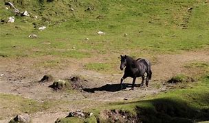 Image result for agoeer�a