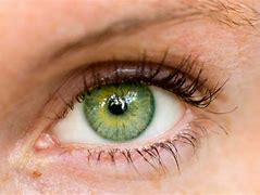 Image result for Weird Eye Colors