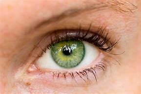 Image result for Rarest Eye Color Green