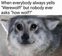 Image result for Sad Wolf Memes