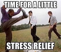 Image result for Memes to Relieve Stress