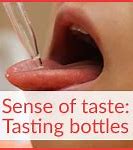 Image result for Sense of Taste Parts