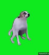 Image result for Dog Dancing GIF Discord