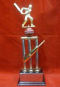 Image result for WC Cricket Trophy