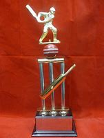 Image result for Cricket Trophies