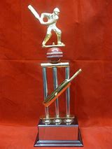 Image result for Cricket Trophy