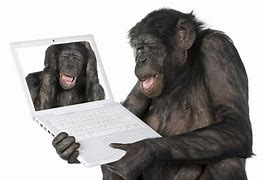 Image result for Computer Monkey Graphic