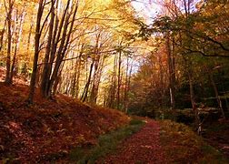 Image result for Lehigh Valley Fall