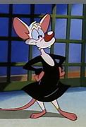 Image result for Pinky and the Brain Eating