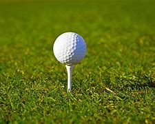Image result for Golf Ball