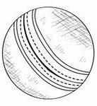 Image result for Cricket Wallpaper