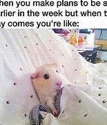 Image result for Hiding Under Desk Meme