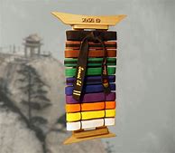 Image result for Martial Arts Belt Display