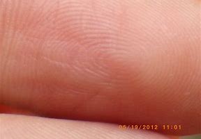 Image result for iPhone 12 Fingerprint