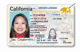 Image result for California ID Back