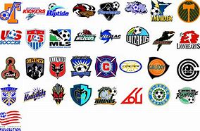Image result for Professional Soccer Team Logos