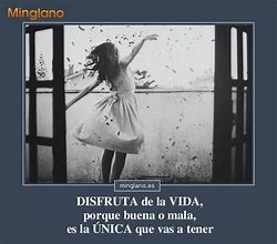 Image result for Astiado De La Vida