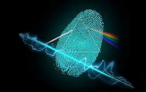 Image result for Function of a Fingerprint Scanner