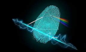 Image result for Fingerprint Scanner Ball