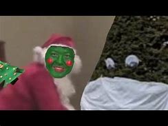 Image result for Cursed Christmas Cat