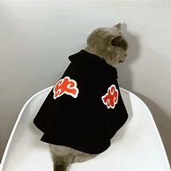Image result for Naruto Cat Cosplay
