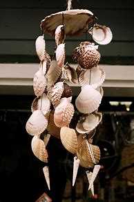 Image result for Seashell Wind Chimes Craft