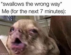 Image result for Choking Dog Meme