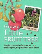 Image result for Front Yard Fruit Trees