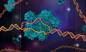 Image result for Gene Editing Meme