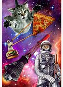 Image result for Cat in Outer Space Pizza