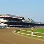 Image result for Best Horse Racers
