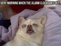 Image result for Funny Alarm Memes Mug