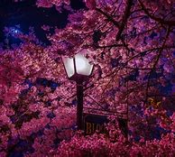 Image result for Purple Aesthetic Tree