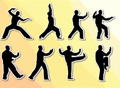 Image result for Tai Chi Silhouette