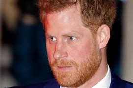 Image result for Prince Harry in Australia