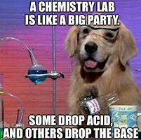 Image result for I Have No Idea What I'm Doing Dog Lab Meme