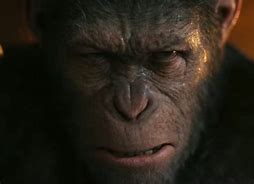 Image result for Humans and Apes Movie