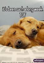 Image result for Long Week TGIF Meme