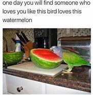 Image result for Watermelon Meme Vine