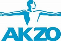 Image result for akzo