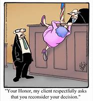 Image result for Funny Lawyer Comics