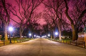 Image result for Night Park View