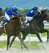 Image result for Horse Race Finish